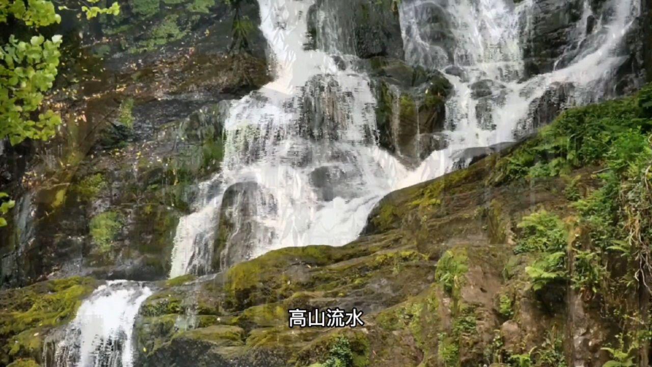 夏季纽扣裙