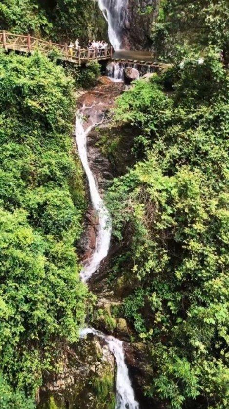 世界杯卡通足球大赛2