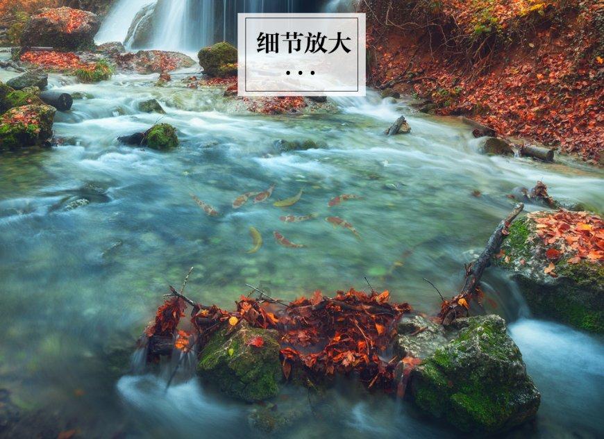 which of the following is not true的翻译是：什么意思？