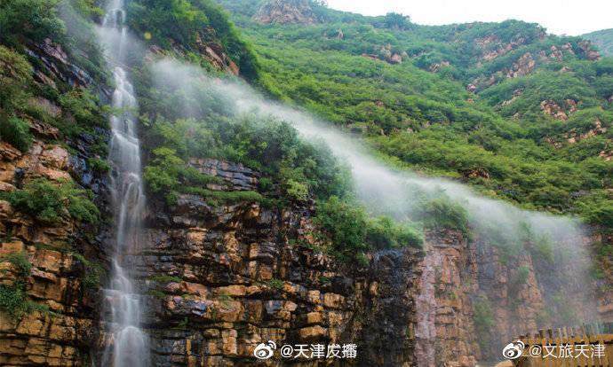 立法护发展 茶业提质效