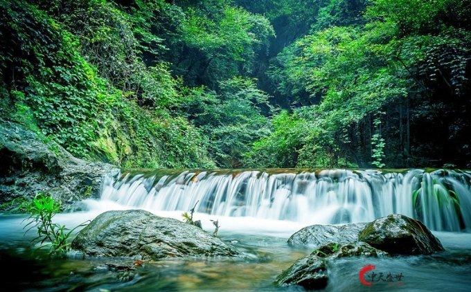 请问照片中这个人叫什么?是讲关于儿童教育的专业服务,客户关怀