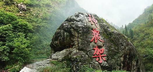 悟空疾驰