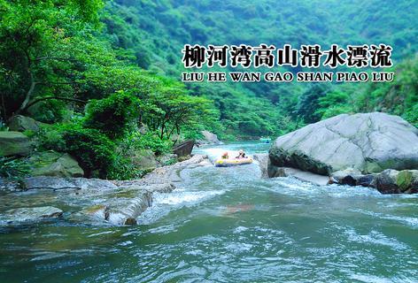 见缝插刀2无敌版