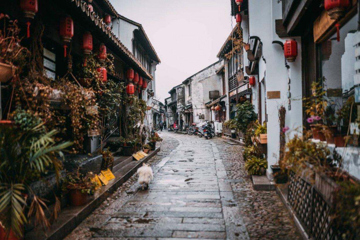 虫虫助手下载