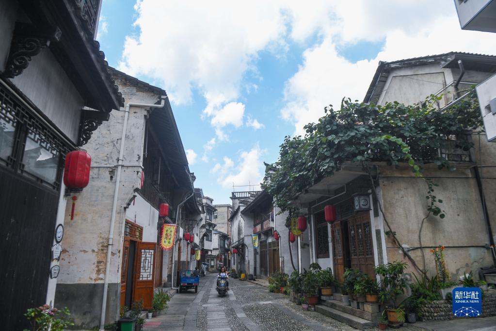 动物帮帮忙保卫家园