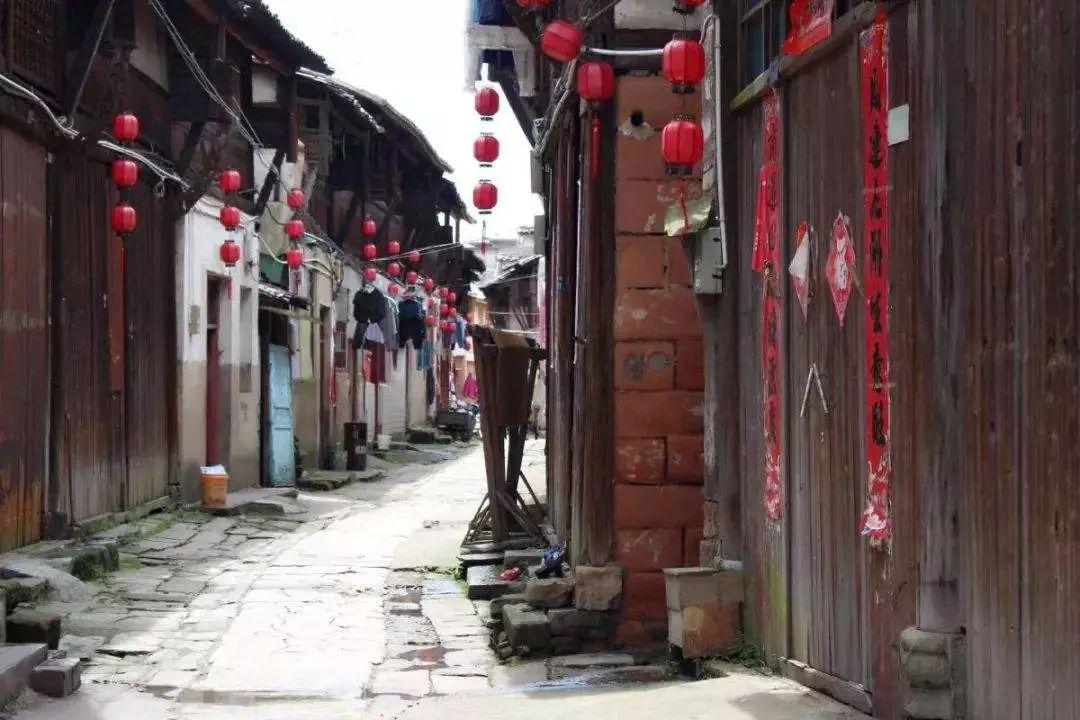 组装机械章鱼龙