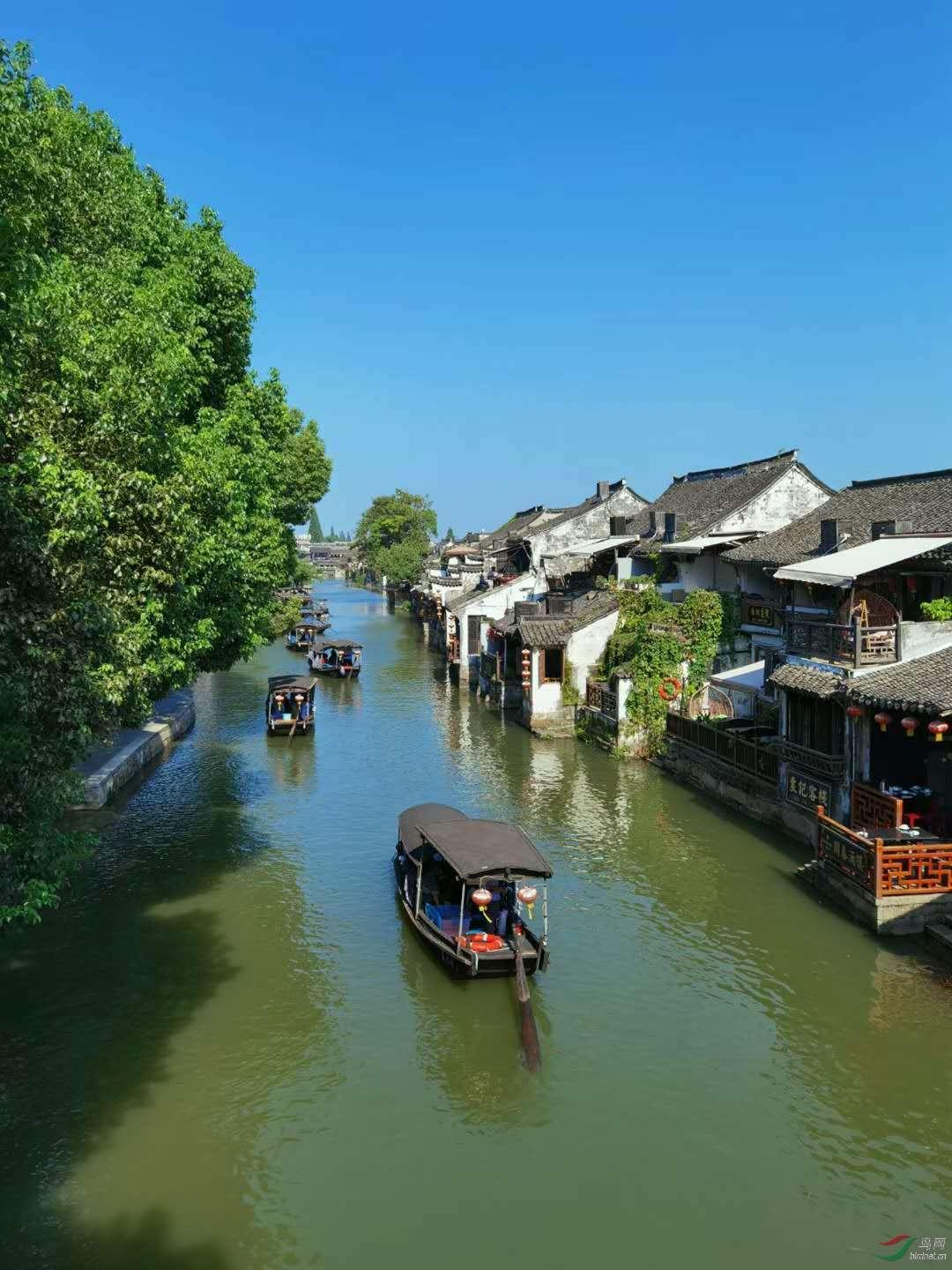 蓝色小球入袋选关版