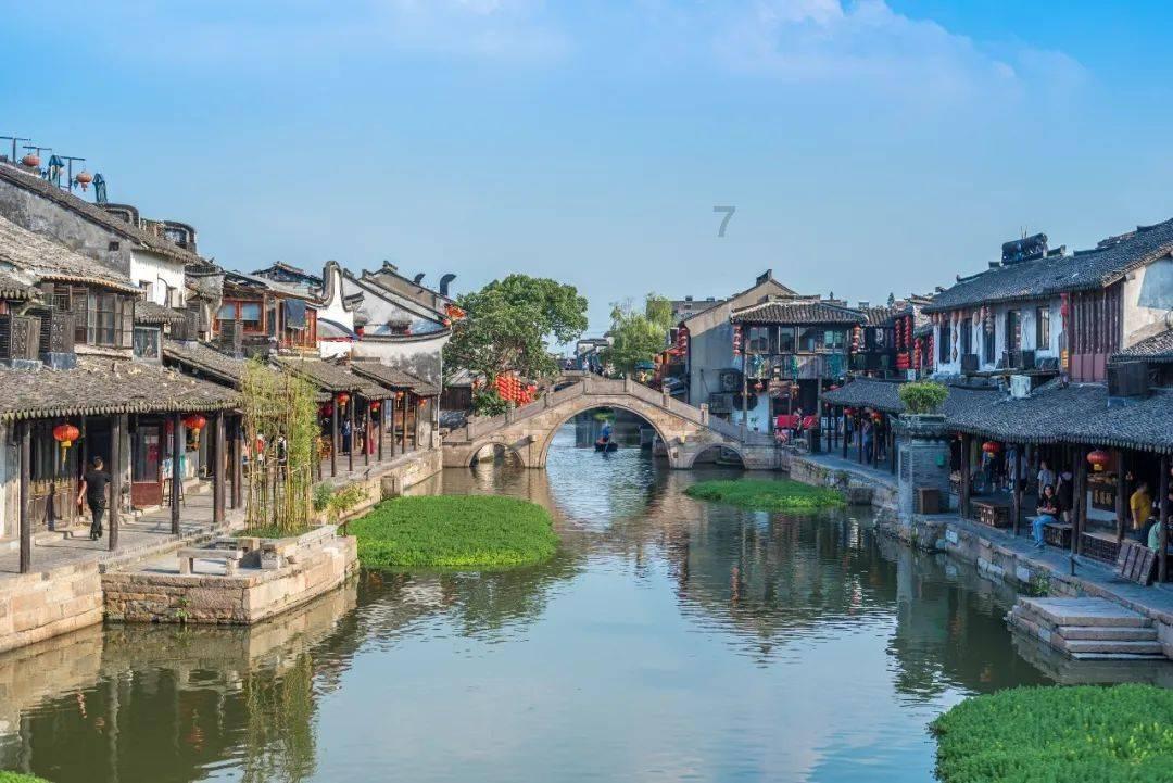 动物帮帮忙保卫家园