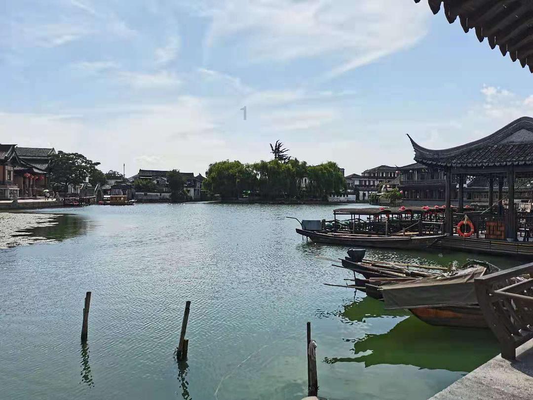 吃羊肉对白白有影响吗？游戏画面