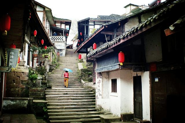 小鸡要回家