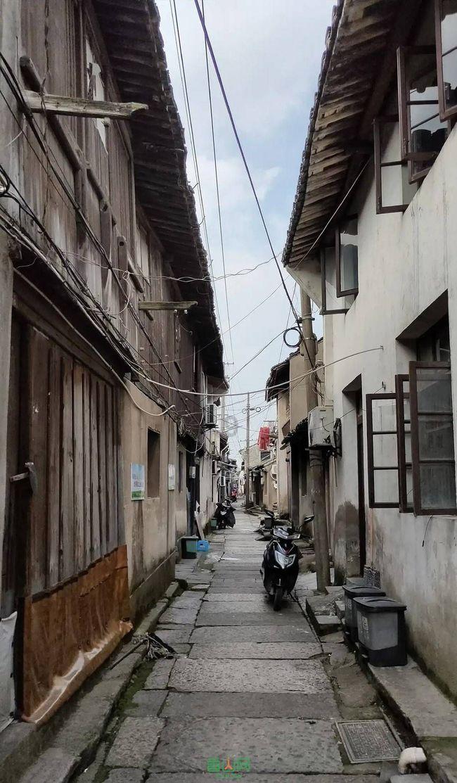 滚动的奶酪选关版