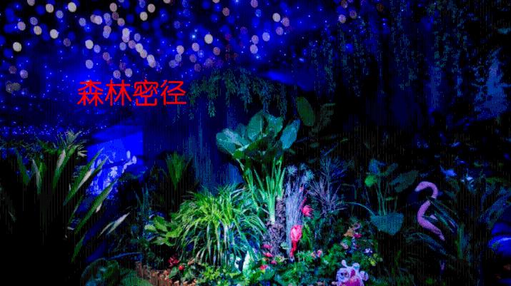 沪江开心词场